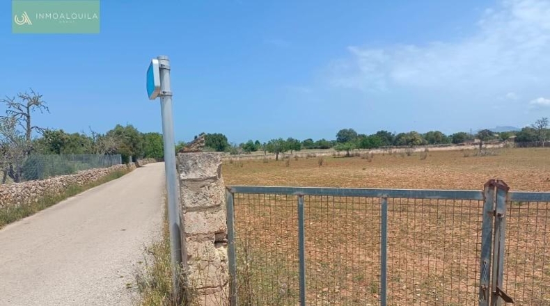 Balearic Islands - Son Bauló - 14400m2