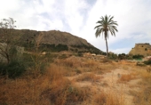 Sòl urbà en venda a la España, Oriola, ref.: TR128689 foto