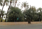 Sòl urbà en venda a la España, Oriola, ref.: TR263699 foto