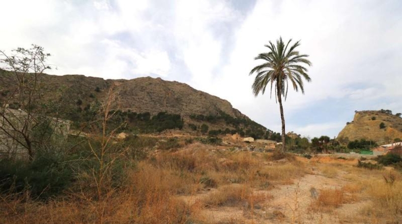 Alicante - Orihuela - 3616m2