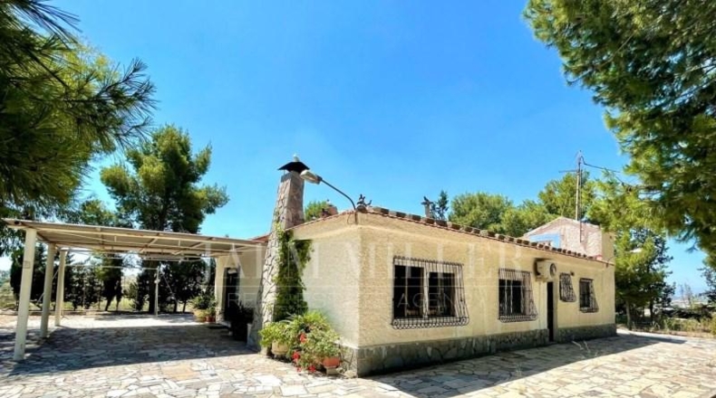 Murcia - Molina de Segura - 9500m2
