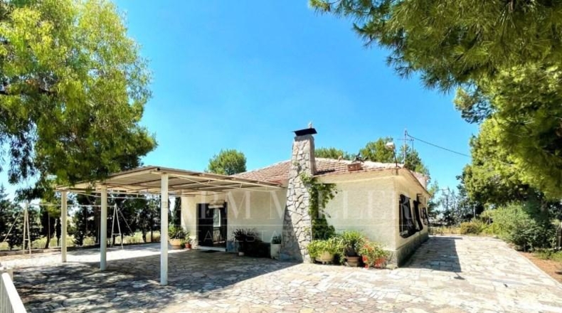 Murcia - Molina de Segura - 9500m2