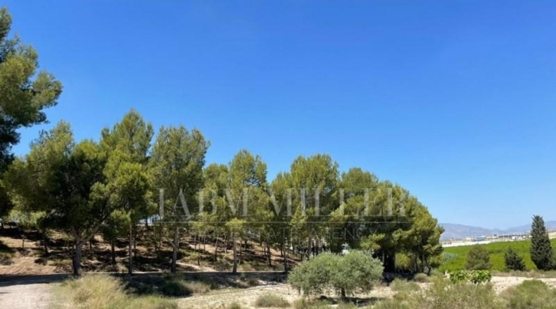 Murcia - Molina de Segura - 9500m2