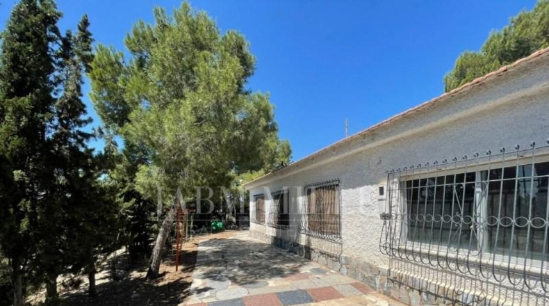 Murcia - Molina de Segura - 9500m2