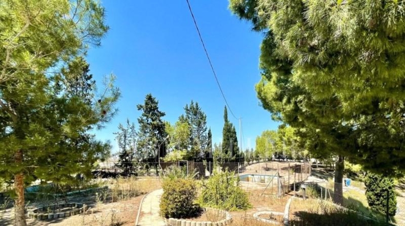 Murcia - Molina de Segura - 9500m2