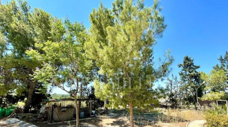 Murcia - Molina de Segura - 9500m2