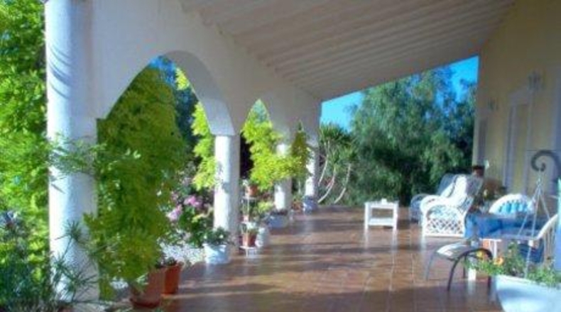 Múrcia - Cehegín - 5000m2