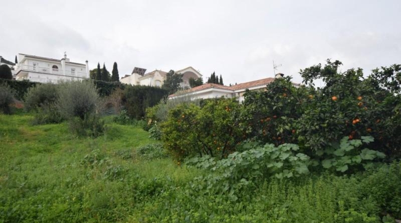 Málaga - Alhaurín de la Torre - 743m2