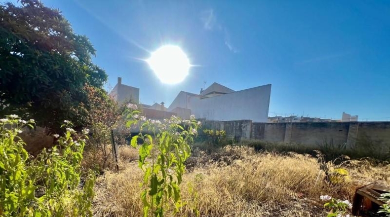 Alicante - Dolores - 690m2