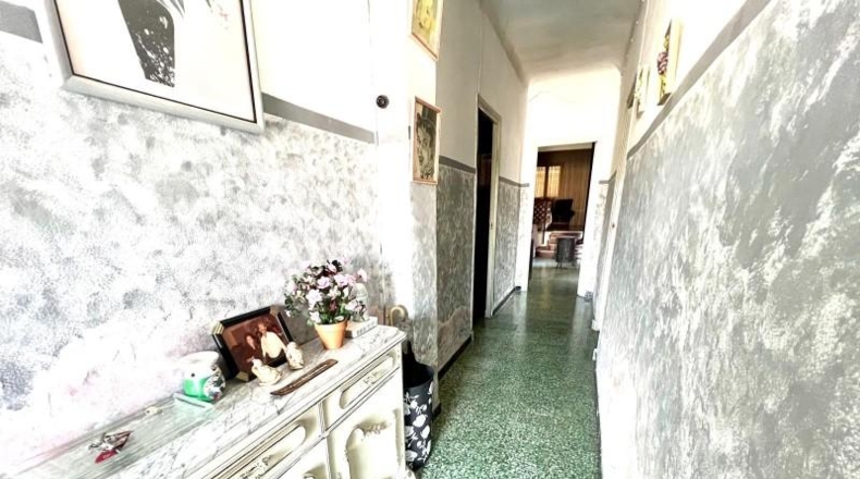 Alicante - Dolores - 690m2