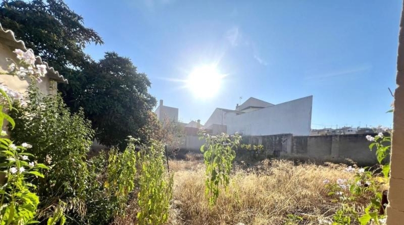 Alicante - Dolores - 690m2
