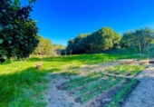 Finca rústica en venda a la España, La Línea de la Concepción, ref.: TR224694 foto
