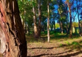 Finca rústica en venda a la España, La Línea de la Concepción, ref.: TR224694 foto