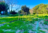 Finca rústica en venda a la España, La Línea de la Concepción, ref.: TR224694 foto