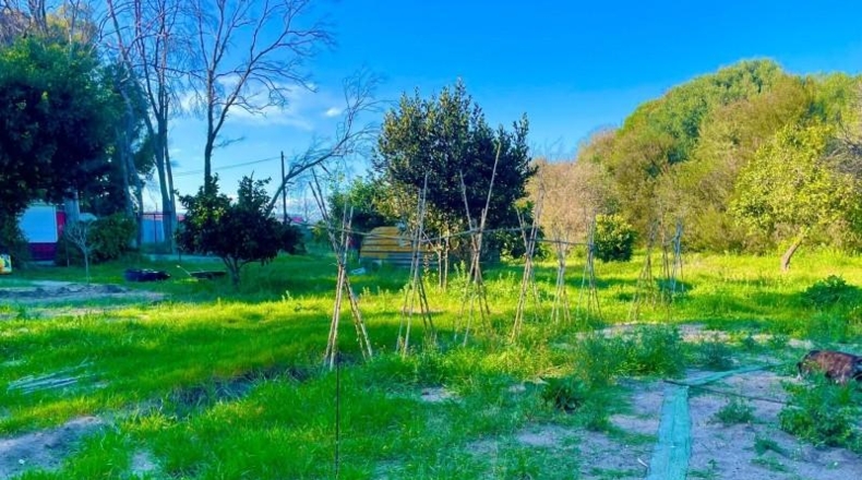 Cádiz - La Línea de la Concepción - 11835m2