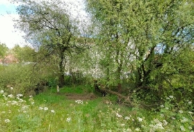 Foto 9