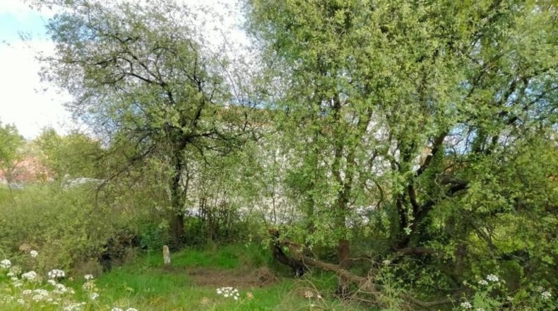 Pontevedra - El Grove - 300m2