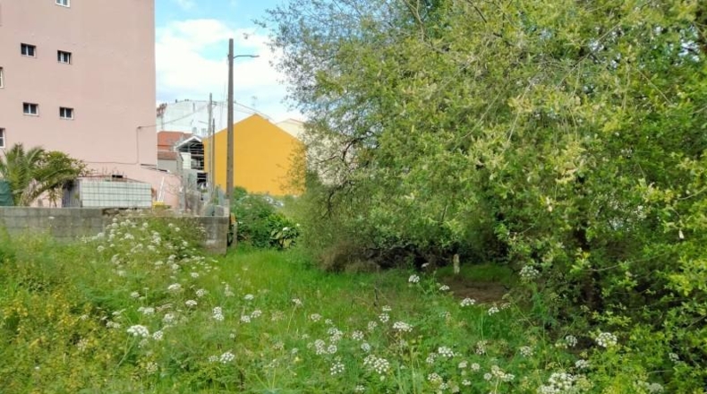 Pontevedra - El Grove - 300m2