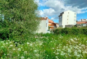 Foto 19