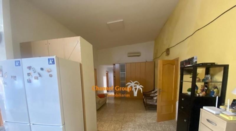 Alicante - Crevillente - 6700m2