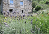 Finca rústica en venda a la España, Porrera, ref.: TR303419 foto