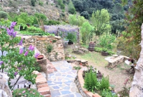 Foto 14