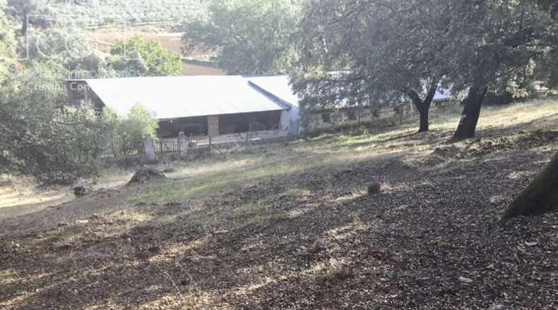 Seville - Cazalla de la Sierra - 74670m2