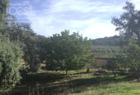 Cazalla de la Sierra 74670&nbsp;м²