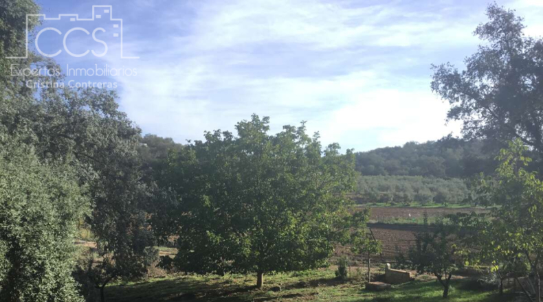 Seville - Cazalla de la Sierra - 74670m2