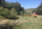 Земля на продажу у города Cazalla de la Sierra Фото