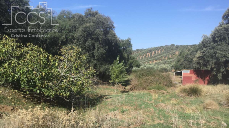 Seville - Cazalla de la Sierra - 74670m2
