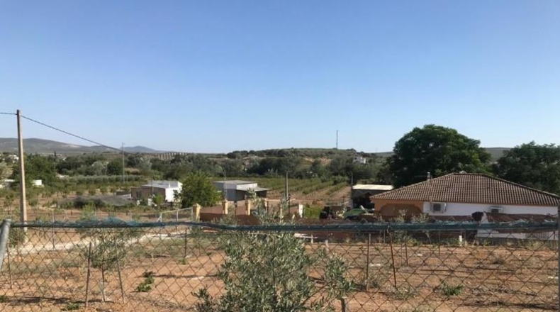 Córdoba - Cabra - 3000m2