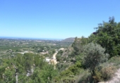 Urban land for sale on España, Dénia, ref: TR123847 photo