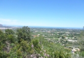 Urban land for sale on España, Dénia, ref: TR123847 photo