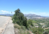 Urban land for sale on España, Dénia, ref: TR123847 photo
