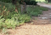 Terreny no urbanitzable en venda a la España, Albacete, ref.: TR124371 foto