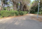 Terreny no urbanitzable en venda a la España, Albacete, ref.: TR124371 foto