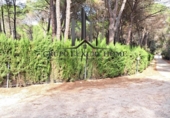 Terreny no urbanitzable en venda a la España, Albacete, ref.: TR124371 foto