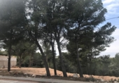 Non-developable land for sale on España, Moraira, ref: TR112669 photo
