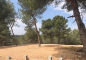 Non-developable land for sale on España, Moraira, ref: TR112669 photo