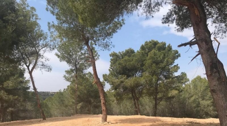 Alicante - Moraira - 850m2