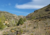 Parcel·la urbanitzable en venda a la España, Almócita, ref.: TR112902 foto