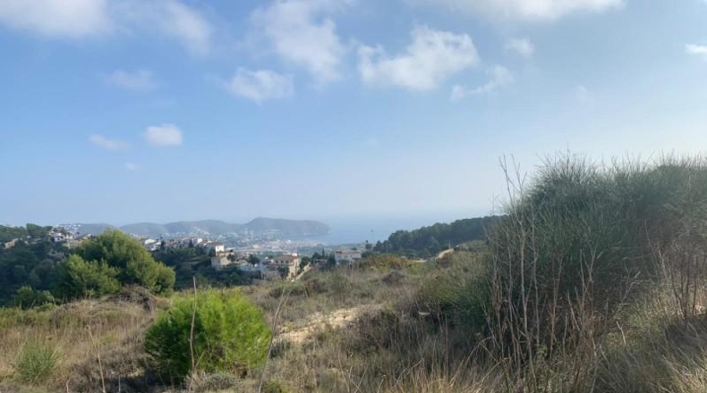 Alicante - Moraira - 1000m2