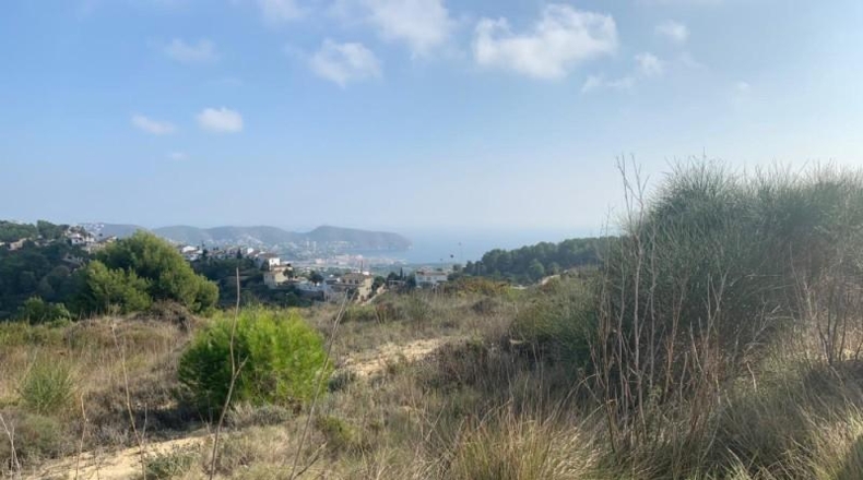 Alicante - Moraira - 1000m2
