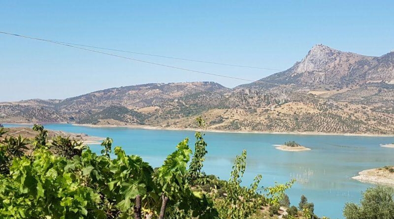 Cádiz - Zahara - 30000m2