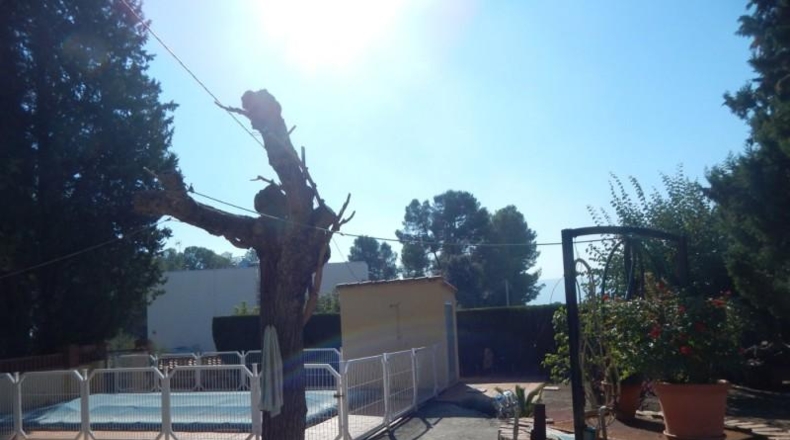 Valencia - Onteniente - 7500m2