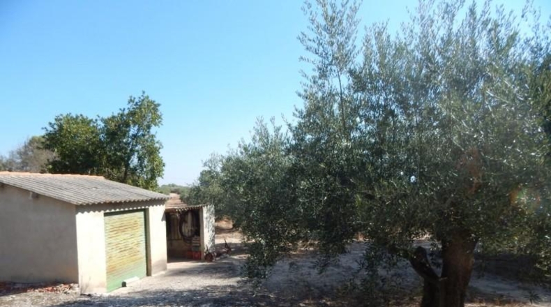 Valencia - Onteniente - 7500m2