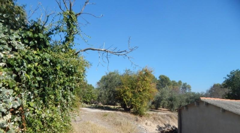 Valencia - Onteniente - 7500m2
