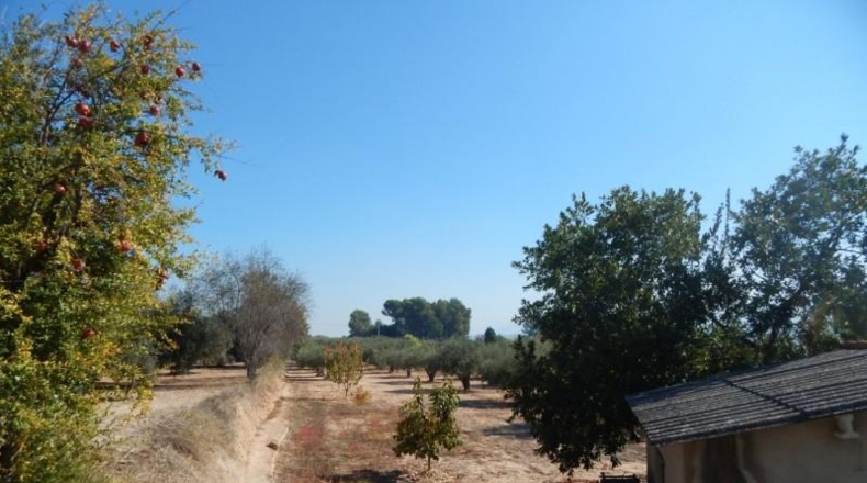 Valencia - Onteniente - 7500m2