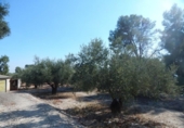 Xalet independent amb terreny en venda a la España, Ontinyent, ref.: TR134874 foto